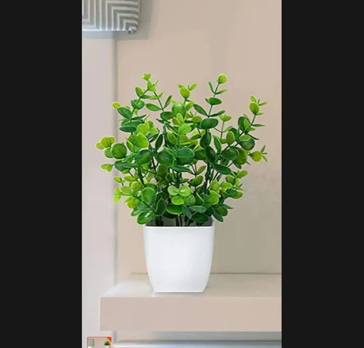 1 Pc Planter Pot Trend Nexus