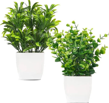 Planter Pot Trend Nexus