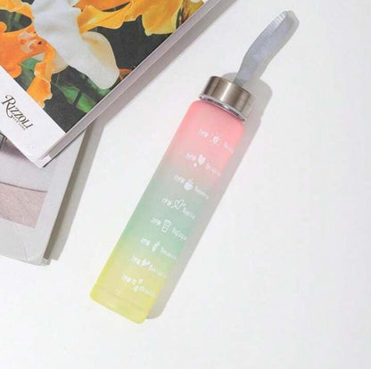 Gradient Water Bottles – 3 Pcs Set | Perfect for Gym &amp; Daily Use