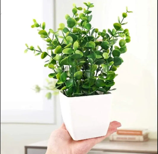 1 Pc Planter Pot Trend Nexus